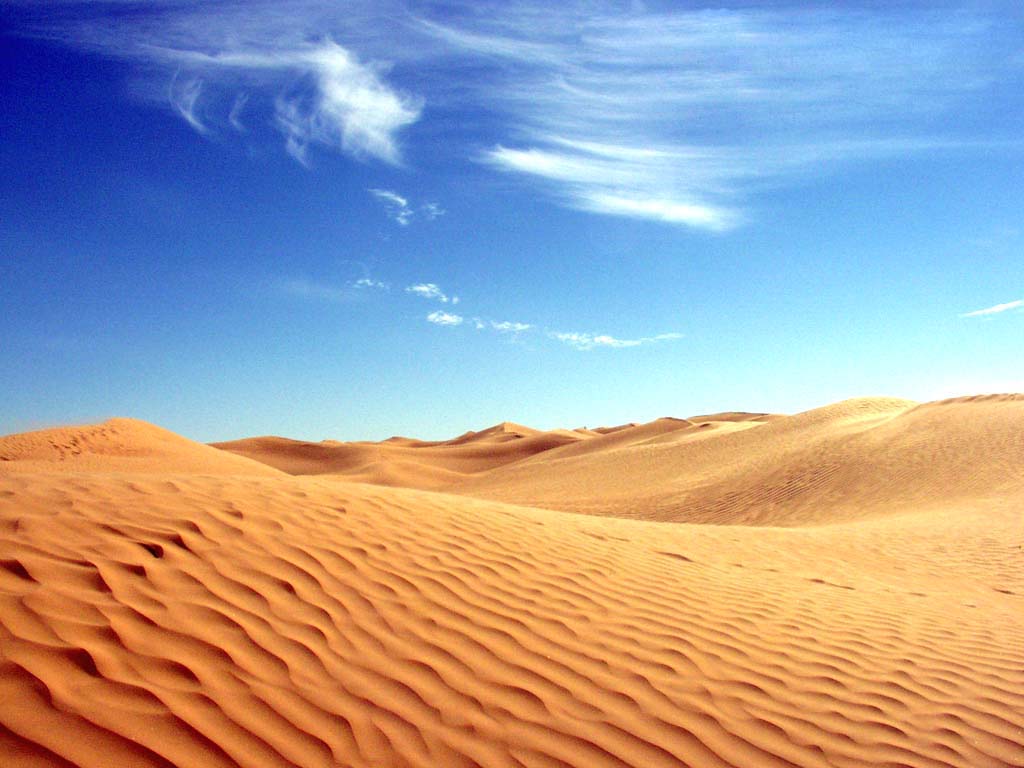 tunis desert